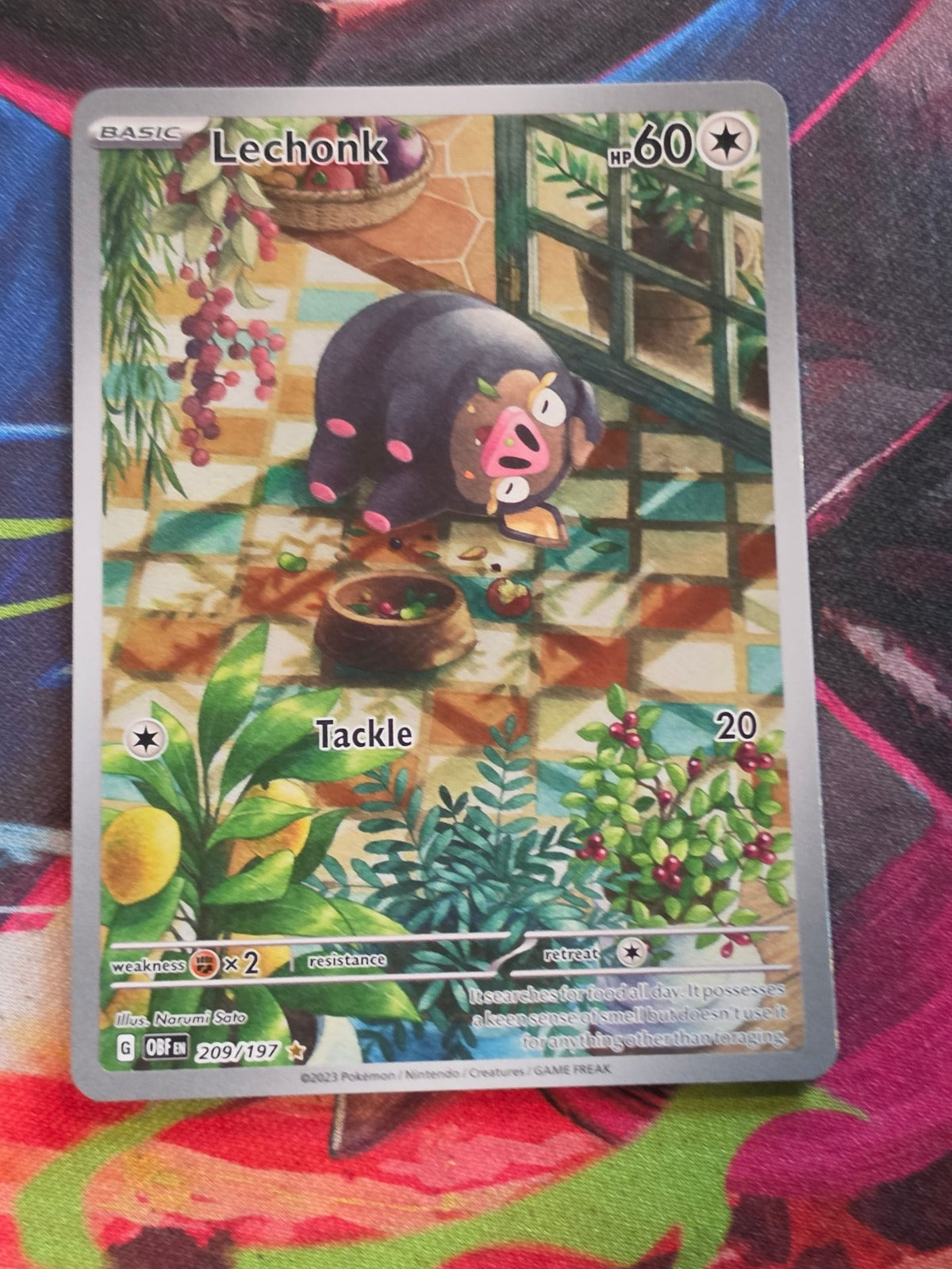 Lechonk Illustration Rare SV03: Obsidian Flames 209/197 LP+ Pokemon