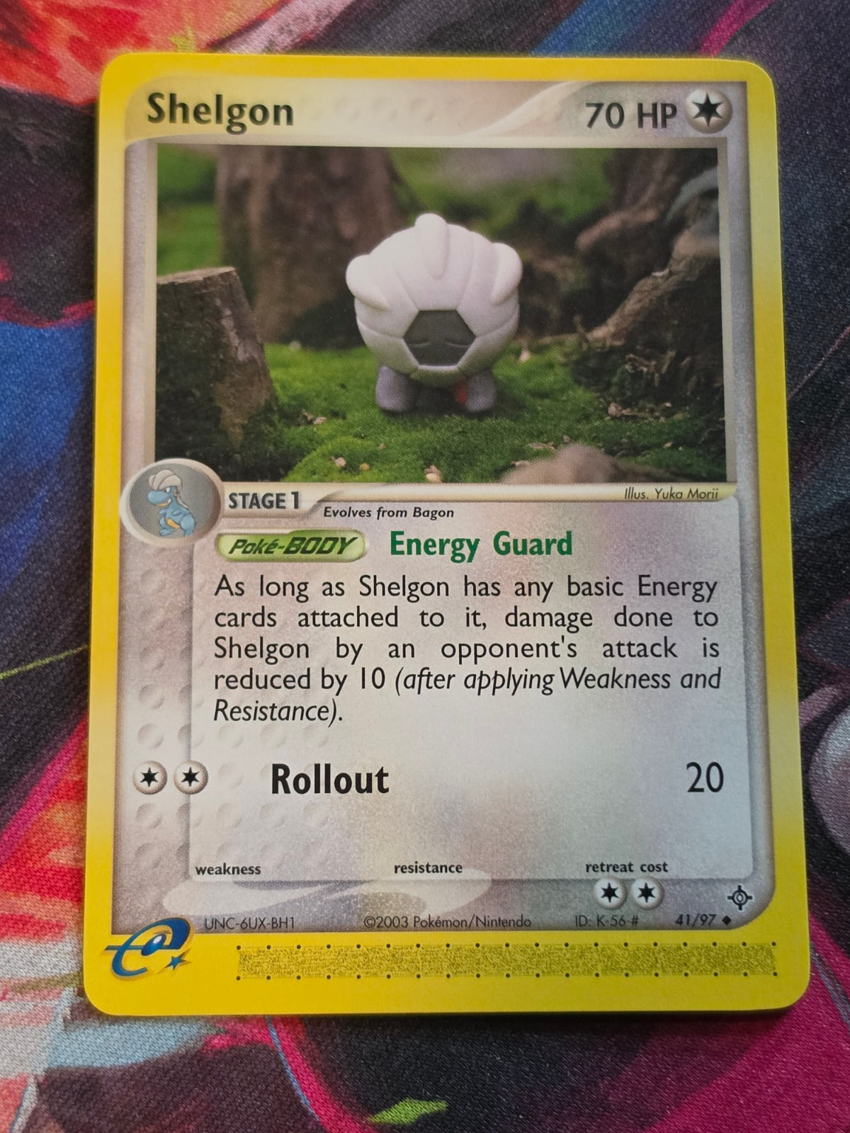Shelgon - 41/97 - EX Dragon - Uncommon - NM - Pokemon