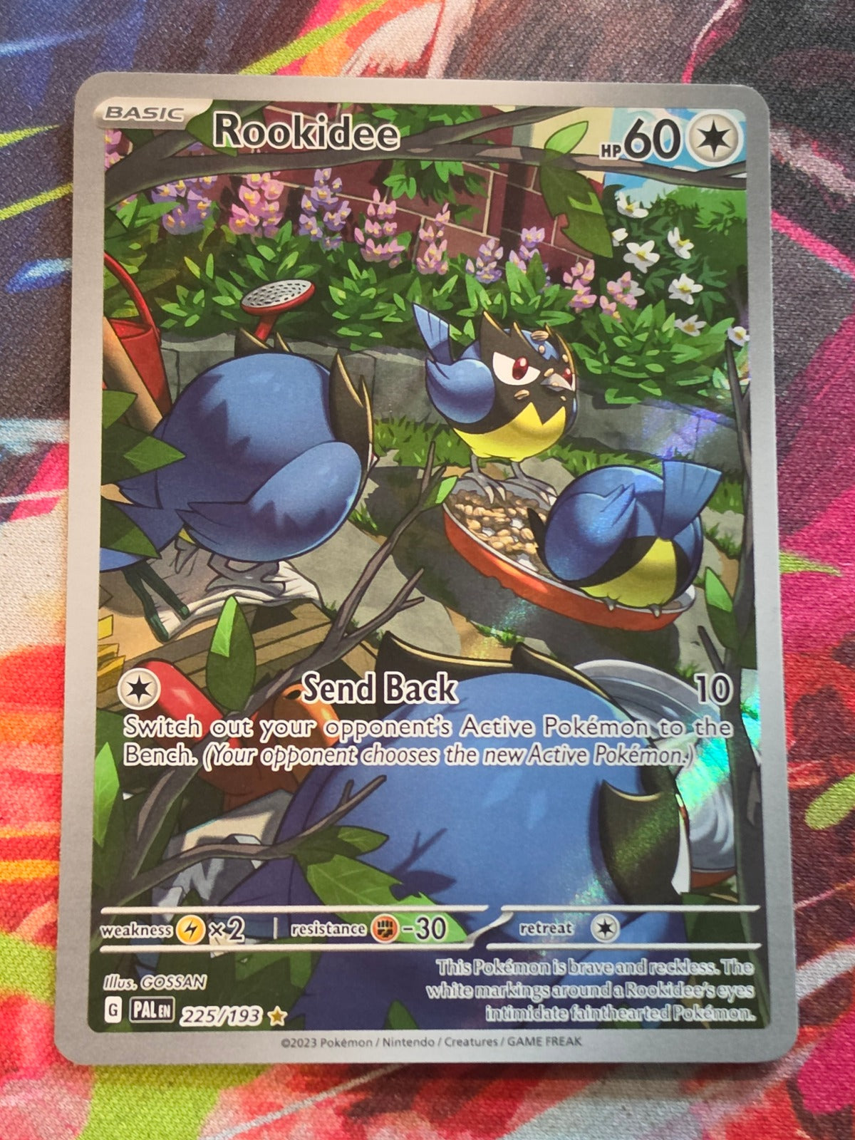 Rookidee Illustration Rare SV02: Paldea Evolved 225/193 NM Pokemon