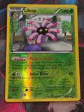 Lileep - 3/101 - Plasma Blast - Uncommon - Reverse Holo - LP+ - Pokemon