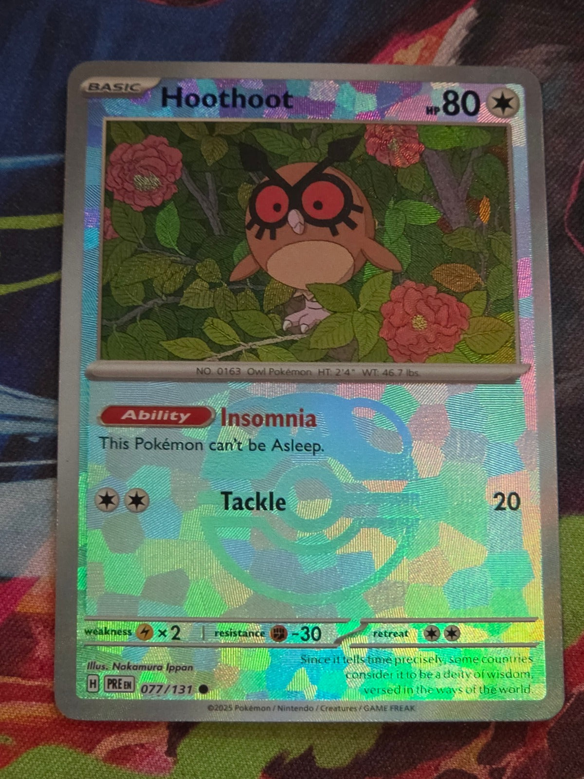 Hoothoot (Master Ball Pattern) Common SV: Prismatic Evolutions 077/131 NM Pokemon