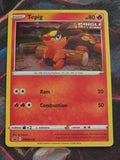 Tepig - SWSH172 - SWSH: Sword & Shield Promo Cards - Promo - LP Pokemon