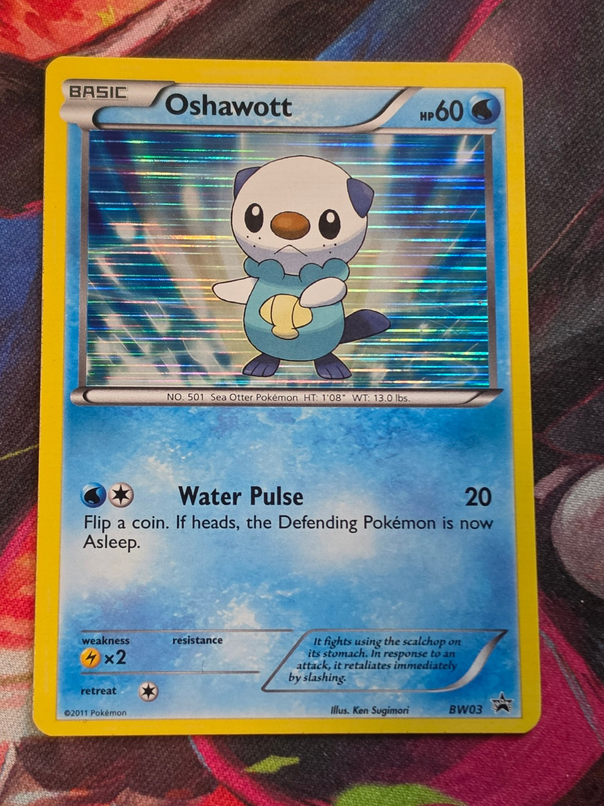 Oshawott Promo Black and White Promos BW03 NM- Pokemon